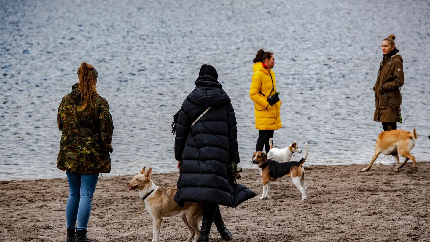 In Berlin hat die Zahl der Hunde und Halter zugenommen. In Berlin hat die Zahl der Hunde und Halter zugenommen.