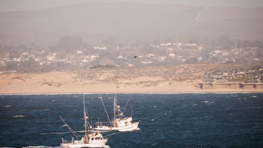 Aus dem Meer direkt auf den Teller: Fischfang in Monterey.