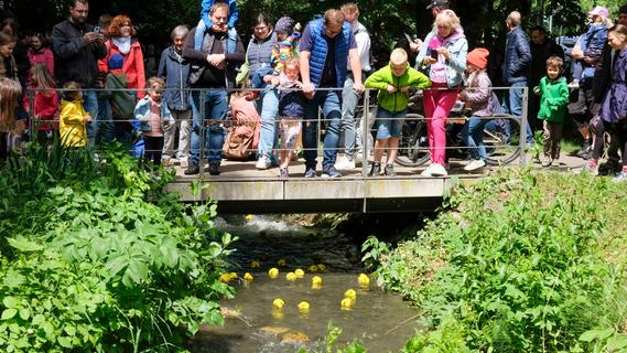 Wasserspaß im Neumarkter Stadtpark: Gelbe Quietsche-Enten liefern sich putziges Rennen