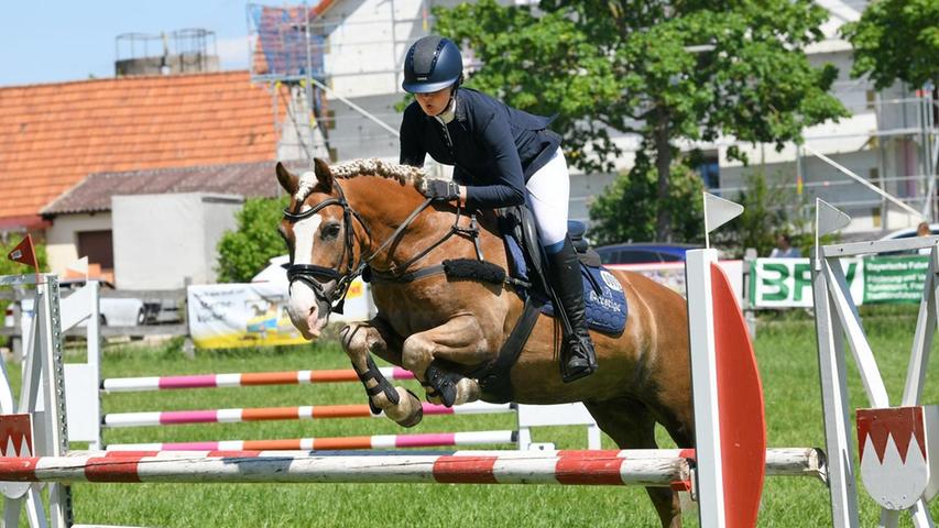Ein Fest für Pferde-Fans: Bilder von der Bayerischen Landeshaflingermeisterschaft