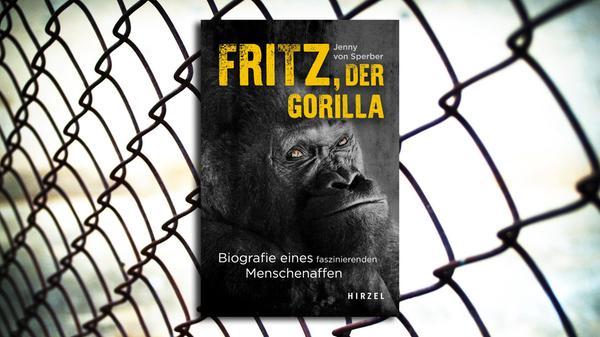 Biografie einer Affenlegende: Die Wissenschaftsjournalistin Jenny von Sperber hat sich mit dem Lebensweg von Gorilla Fritz beschäftigt, der 48 Jahre lang am Schmausenbuck lebte und zu einem der Stars in der Geschichte des Nürnberger Tiergartens avancierte. Sie hat dafür viele Wegbegleiter des charismatischen Affenchefs befragt und versucht, die frühen Jahre von Fritz zu rekonstruieren, der 1963 in Kamerun zur Welt kam und dann als Wildfang nach Deutschland verschifft wurde. Von Sperber ist nicht nur ein einfühlsames Porträt einer Tierpersönlichkeit gelungen, sondern sie zeichnet mit "Fritz, der Gorilla" (Hirzel, 20 Euro) auch nach, wie sich die Philosophie der Zootierhaltung im Lauf der Jahrzehnte wandelte. Marco Puschner