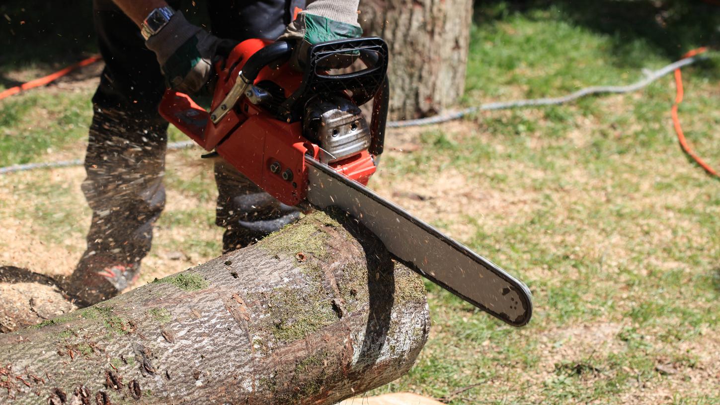 Muss ein morscher Baum gefällt werden, kann der Vermieter die Kosten als Teil der Gartenpflege auf die Mieter umlegen. Muss ein morscher Baum gefällt werden, kann der Vermieter die Kosten als Teil der Gartenpflege auf die Mieter umlegen.
