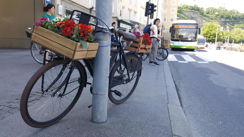  Ein mobiler Blumengruß am Straßenrand.