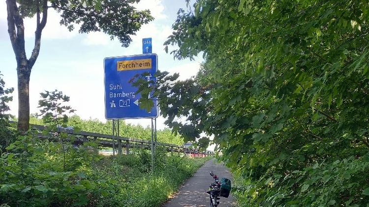 Walter Schrenker ist auf dem Radweg im Forchheimer Norden über die A 73 gefahren. Hier hat er in den Weg hineinragendes Gebüsch dokumentiert.