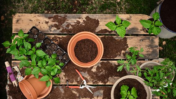 Bis zu 5.200 Euro pro Jahr: Diese Gartenarbeit können Sie von der Steuer absetzen