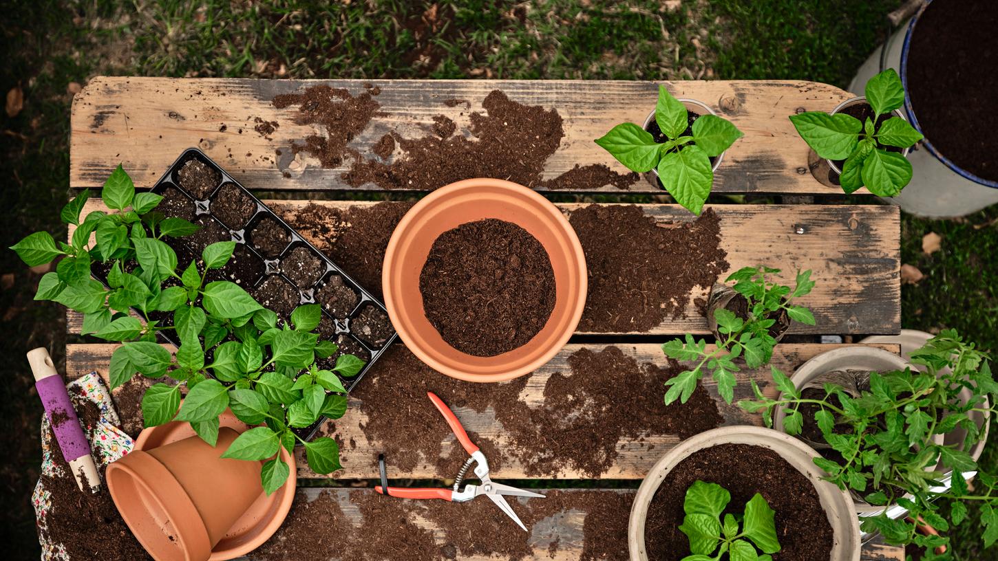 Ein schöner Garten kostet Zeit, teilweise auch Geld. Ein Teil der Kosten kann jedoch bei der Steuererklärung wieder reingeholt werden.