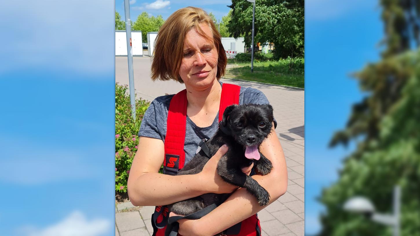 Feuerwehr eilt zum Einsatz: Hund bei Hitze in Auto eingesperrt