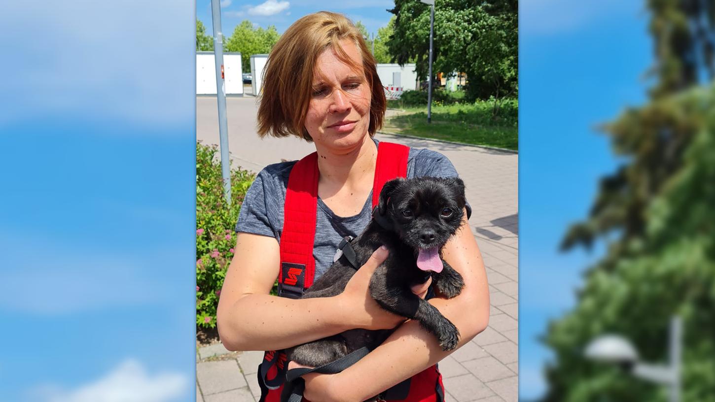 Feuerwehr eilt zum Einsatz: Hund bei Hitze in Auto eingesperrt Feuerwehr eilt zum Einsatz: Hund bei Hitze in Auto eingesperrt