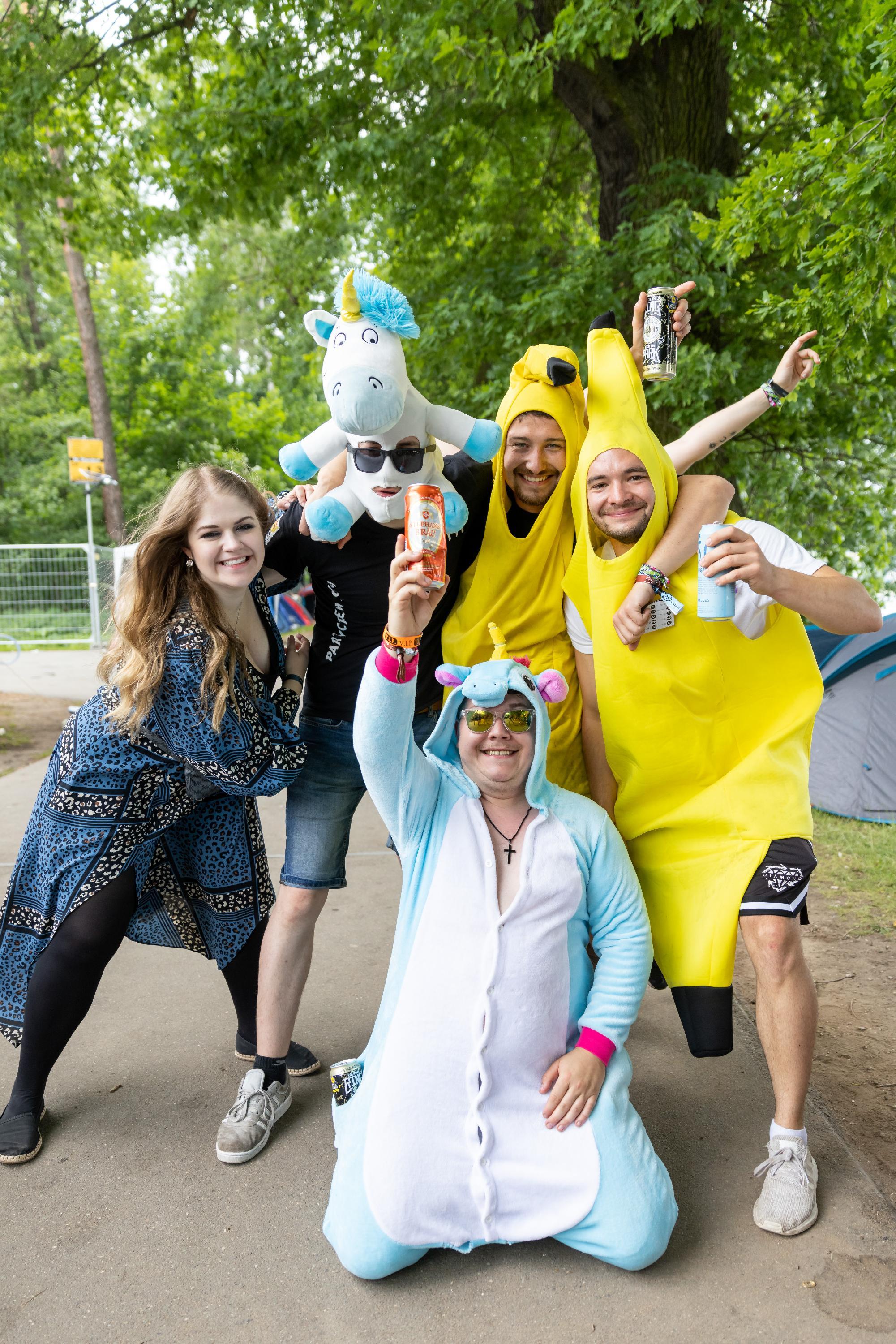 Open-Air-Festival "Rock im Park"