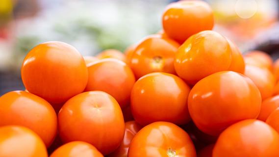 Tipps für Hobbygärtner für perfekte Tomaten: die Geheimnisse der Tomatenzucht