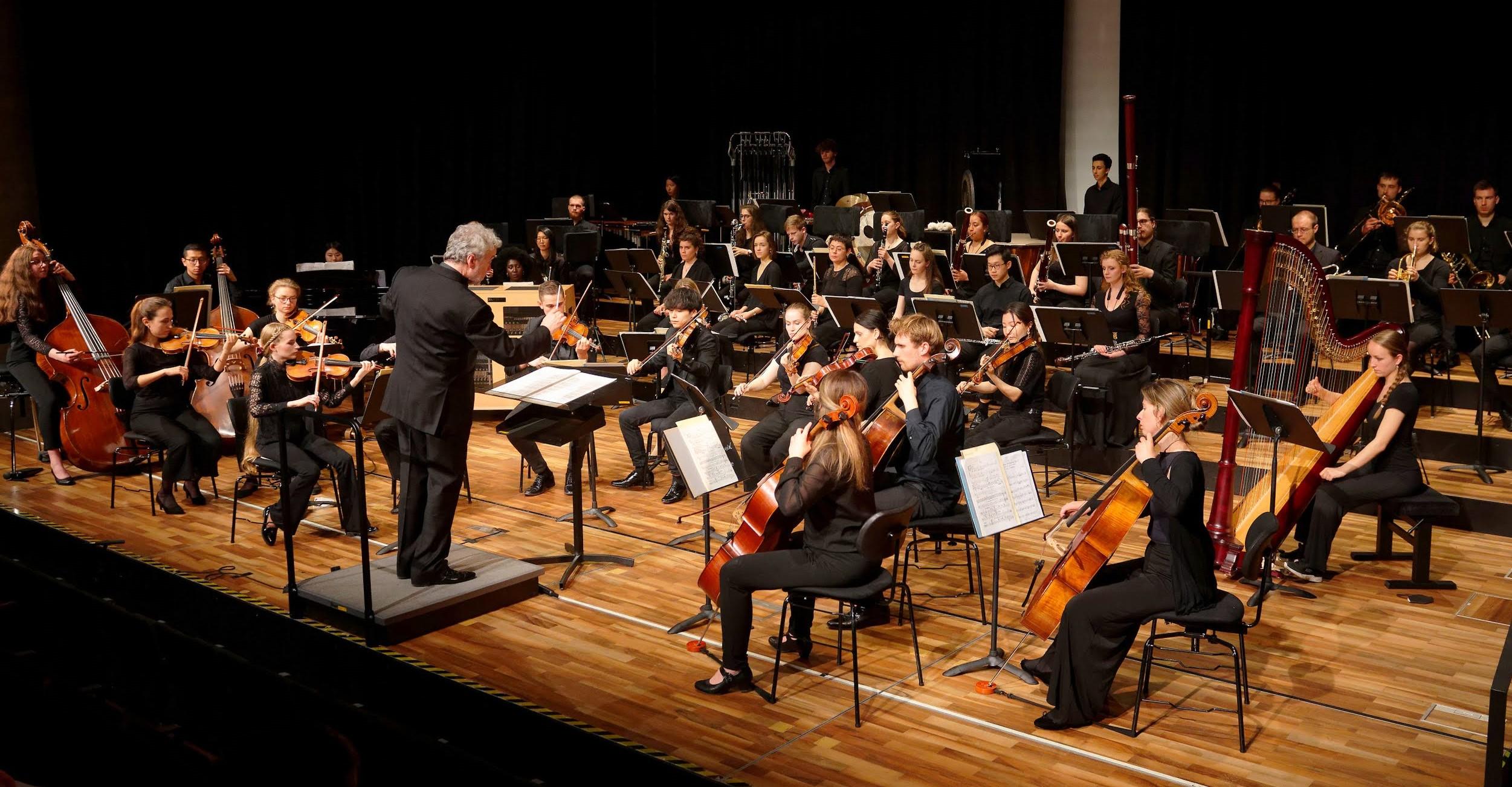 Sinfonieorchester HfM 2 Foto von Sören Balendat.jpg