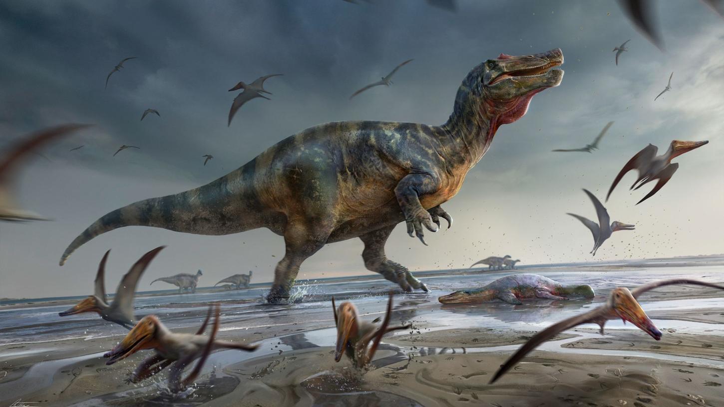Größtes Lebewesen von Australien: Knochen von Riesendinosaurier gefunden
