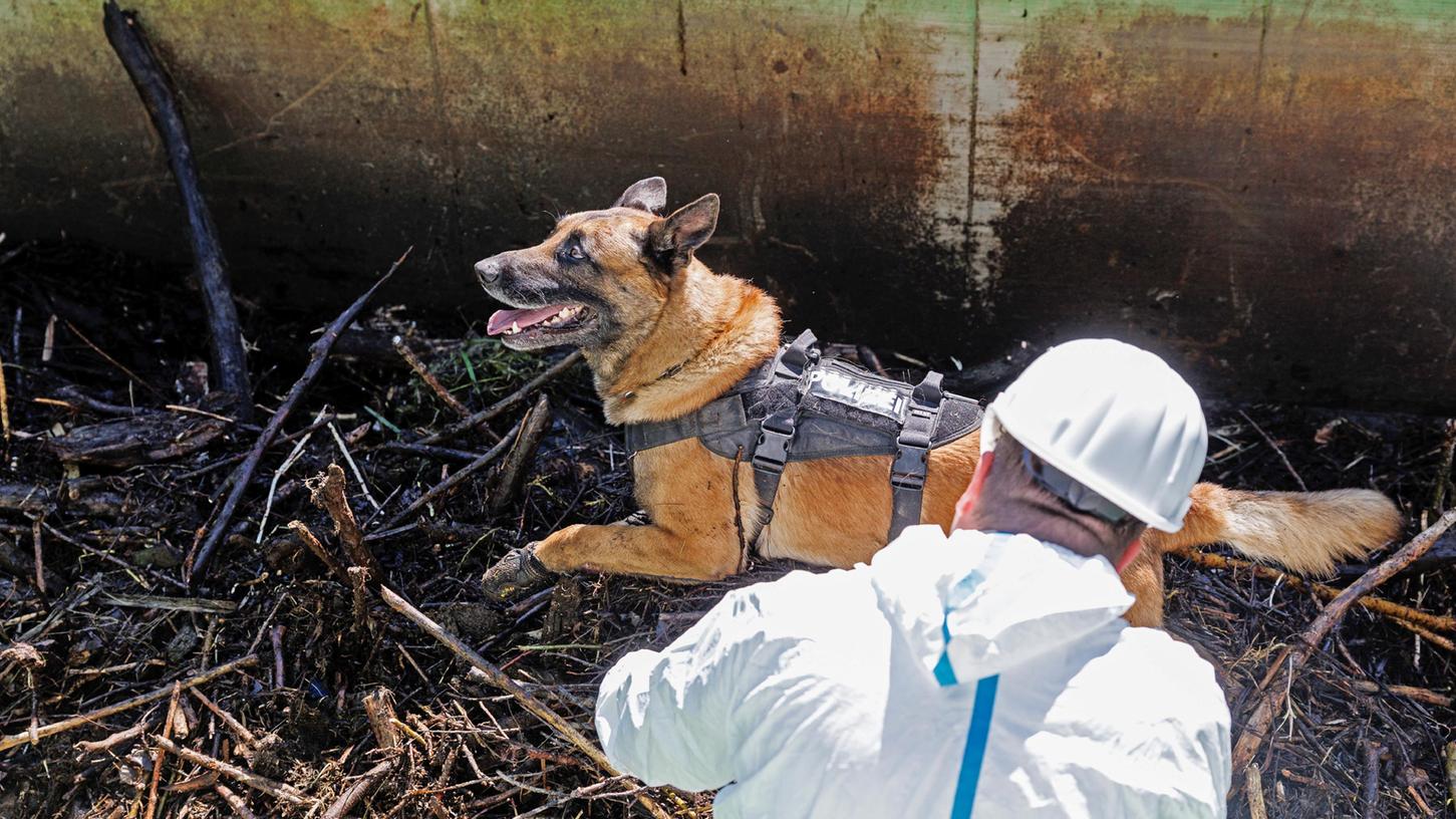Ein Polizist durchsucht bei einer Suchaktion nach dem Fund einer Kinderleiche in der Donau mit einem Leichenspürhund einen Container mit Treibgut.