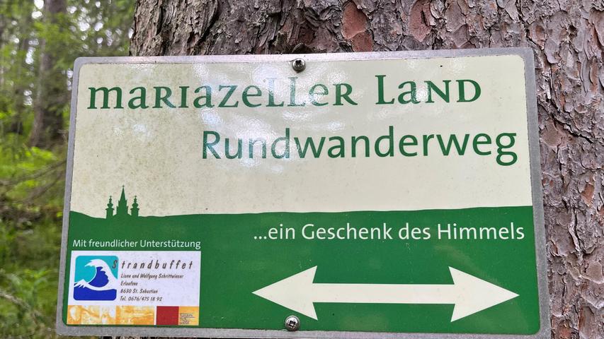 Viele Wanderwege führen um Mariazell.