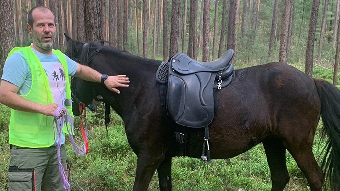 Das entlaufene Pferd, auf dem sich noch ein Sattel befand, stand neben der Fahrbahn und wurde von einem Mann festgehalten, der das Tier zuvor beherzt eingefangen und von der Autobahn geführt hatte.
Das entlaufene Pferd, auf dem sich noch ein Sattel befand, stand neben der Fahrbahn und wurde von einem Mann festgehalten, der das Tier zuvor beherzt eingefangen und von der Autobahn geführt hatte.