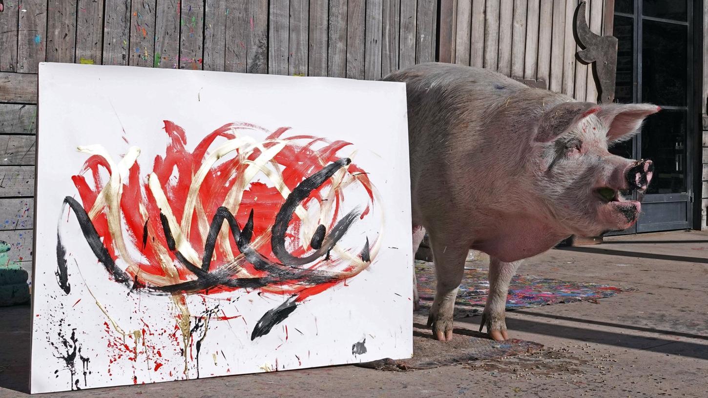 Die Künstlerin und ihr Werk: Pigcasso, ein malendes Schwein aus Südafrika.
