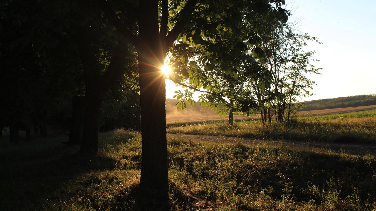 Wunderbare Natur bietet der Naturpark Steigerwald. Hier blitzt die Sonne an der Bad Windsheimer Gräf rein, dort führt am Sonntag eine Wanderung vorbei.