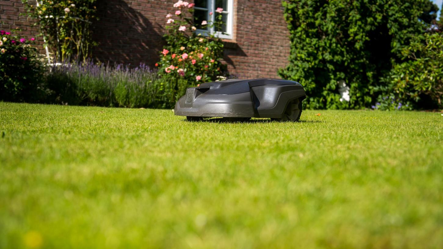 Der Mähroboter entfern alle ein bis zwei Tage nur ein wenig von den Halmen
Der Mähroboter entfern alle ein bis zwei Tage nur ein wenig von den Halmen