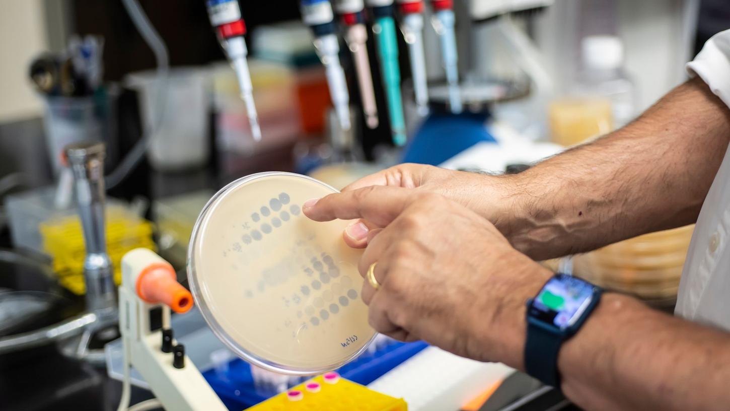 Das Labor von Graham Hatfull an der Universität Pittsburgh stellt bakterientötende Viren Patienten zur Verfügung, die keine anderen Möglichkeiten zur Behandlung resistenter Infektionen haben. Das Labor von Graham Hatfull an der Universität Pittsburgh stellt bakterientötende Viren Patienten zur Verfügung, die keine anderen Möglichkeiten zur Behandlung resistenter Infektionen haben.