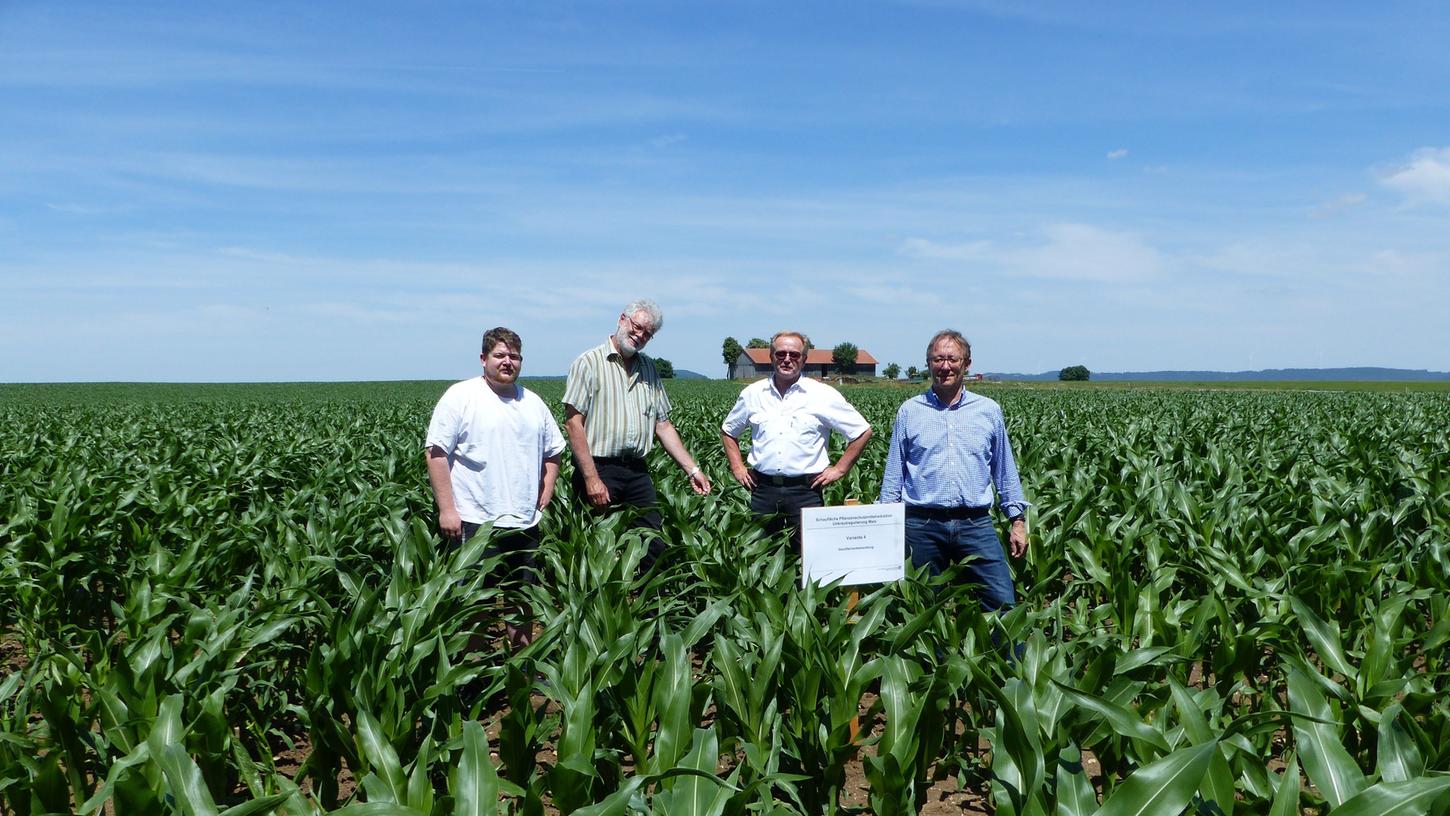 Die Landwirte Stefan (li.) und Karl-Heinz Schwanfelder (3.v.li.) schauen sich zusammen mit Amtsleiter Harald Gebhardt und Mitarbeiter Joachim Nagy (re.) auf dem Musterfeldstück bei Oberndorf die verschiedenen Ergebnisse der Unkrautbekämpfung an. Die Landwirte Stefan (li.) und Karl-Heinz Schwanfelder (3.v.li.) schauen sich zusammen mit Amtsleiter Harald Gebhardt und Mitarbeiter Joachim Nagy (re.) auf dem Musterfeldstück bei Oberndorf die verschiedenen Ergebnisse der Unkrautbekämpfung an.