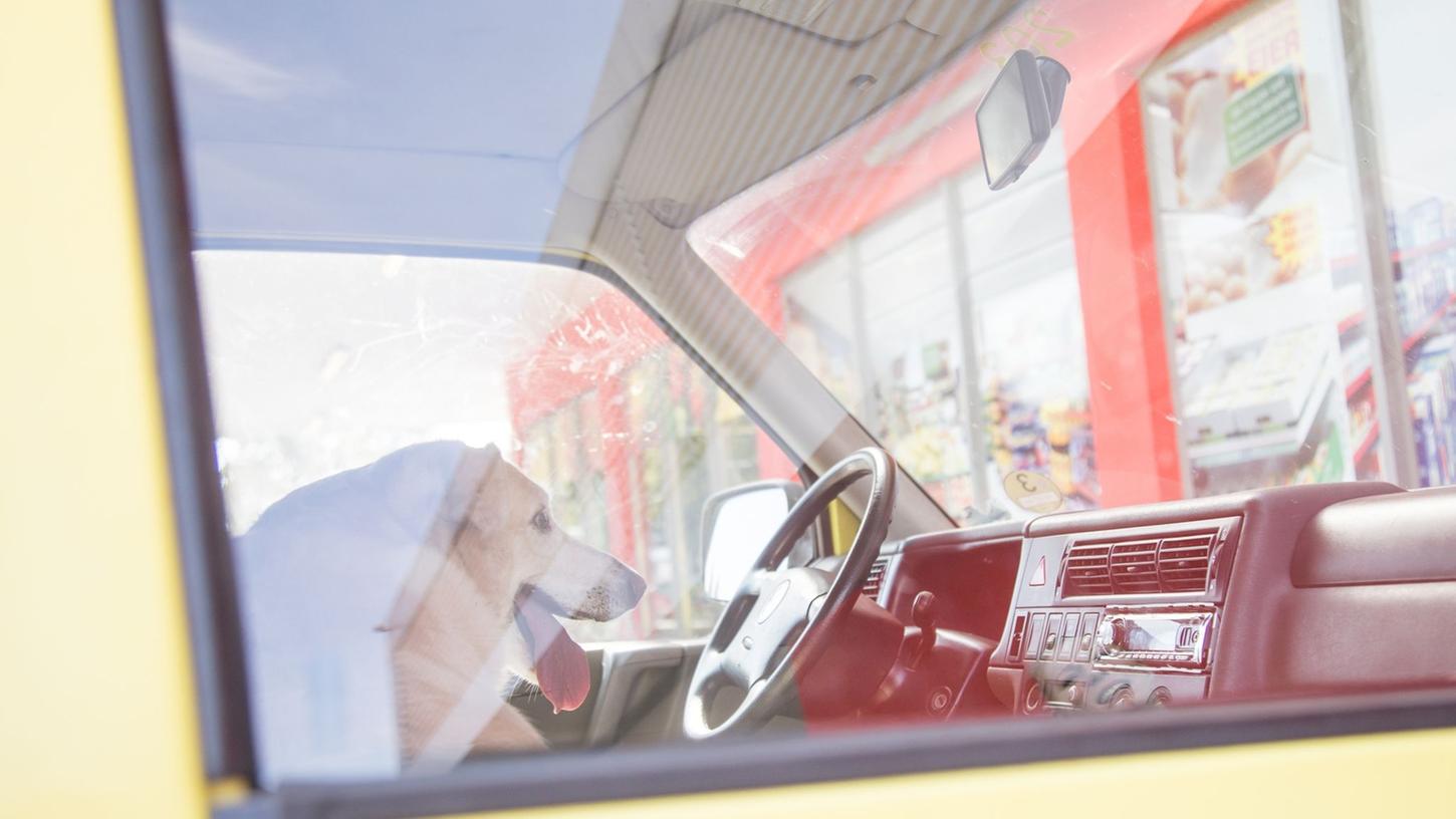 Werden Kinder und Tiere im Sommer im Auto zurückgelassen, kann der sich aufheizende Innenraum schnell zur Gefahr werden. Werden Kinder und Tiere im Sommer im Auto zurückgelassen, kann der sich aufheizende Innenraum schnell zur Gefahr werden.