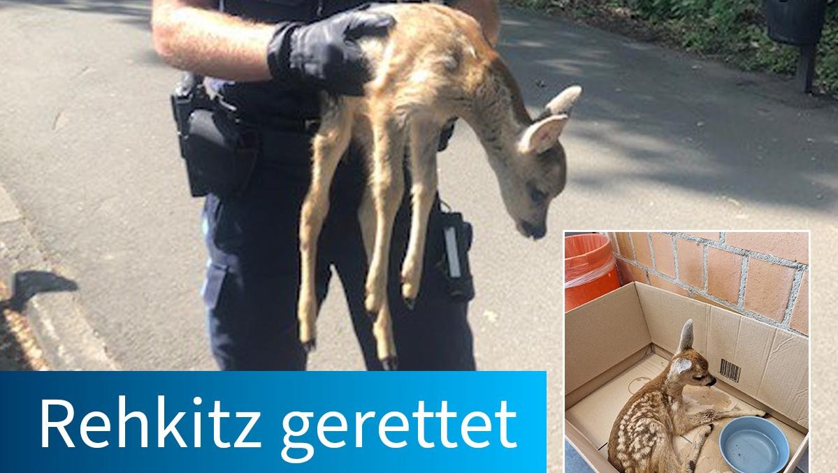 Das Polizeipräsidium Mittelfranken berichtet auf seiner Facebook-Seite von dem geretteten Rehkitz. 