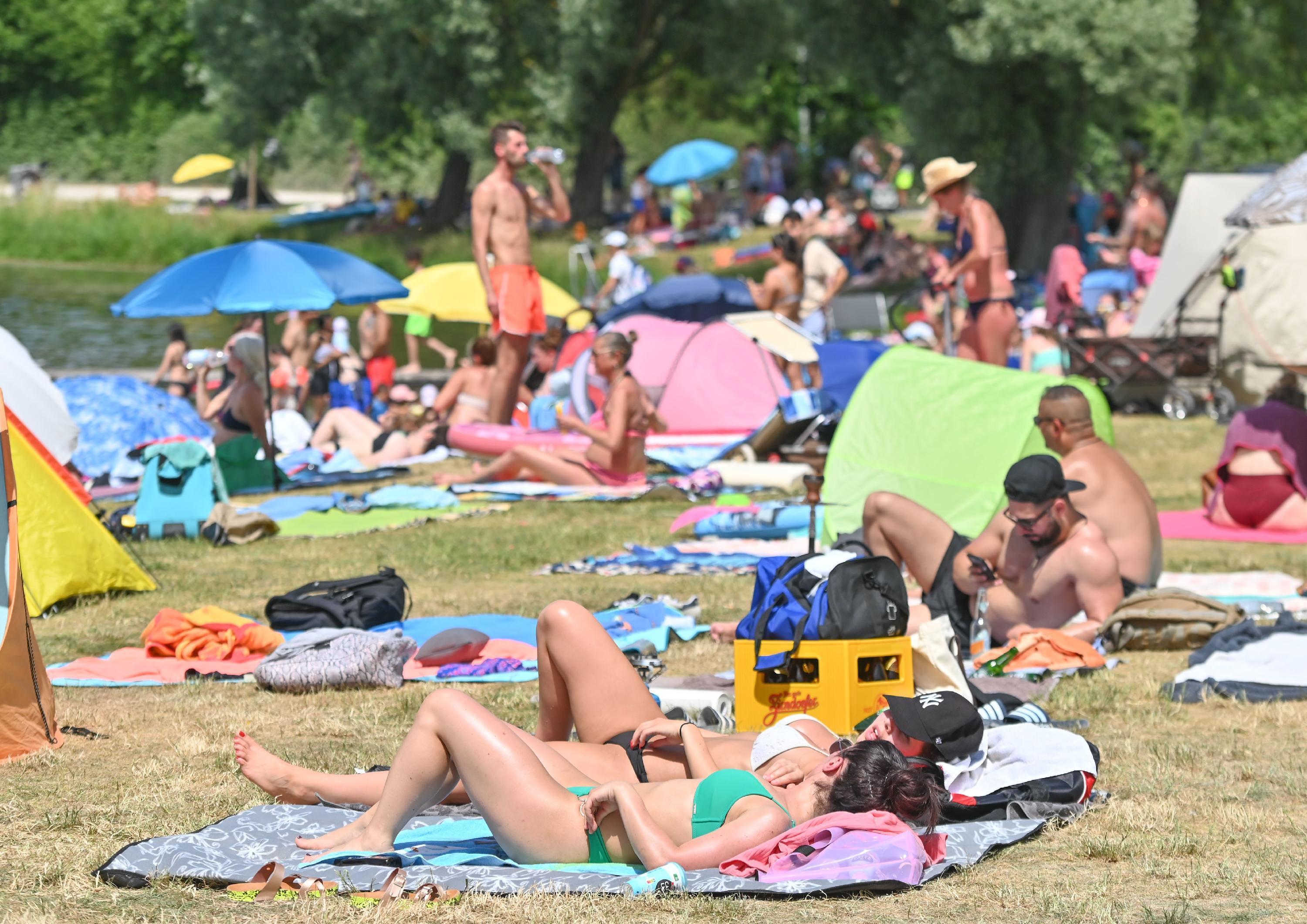 Ein Plausch in der Sonne  ...