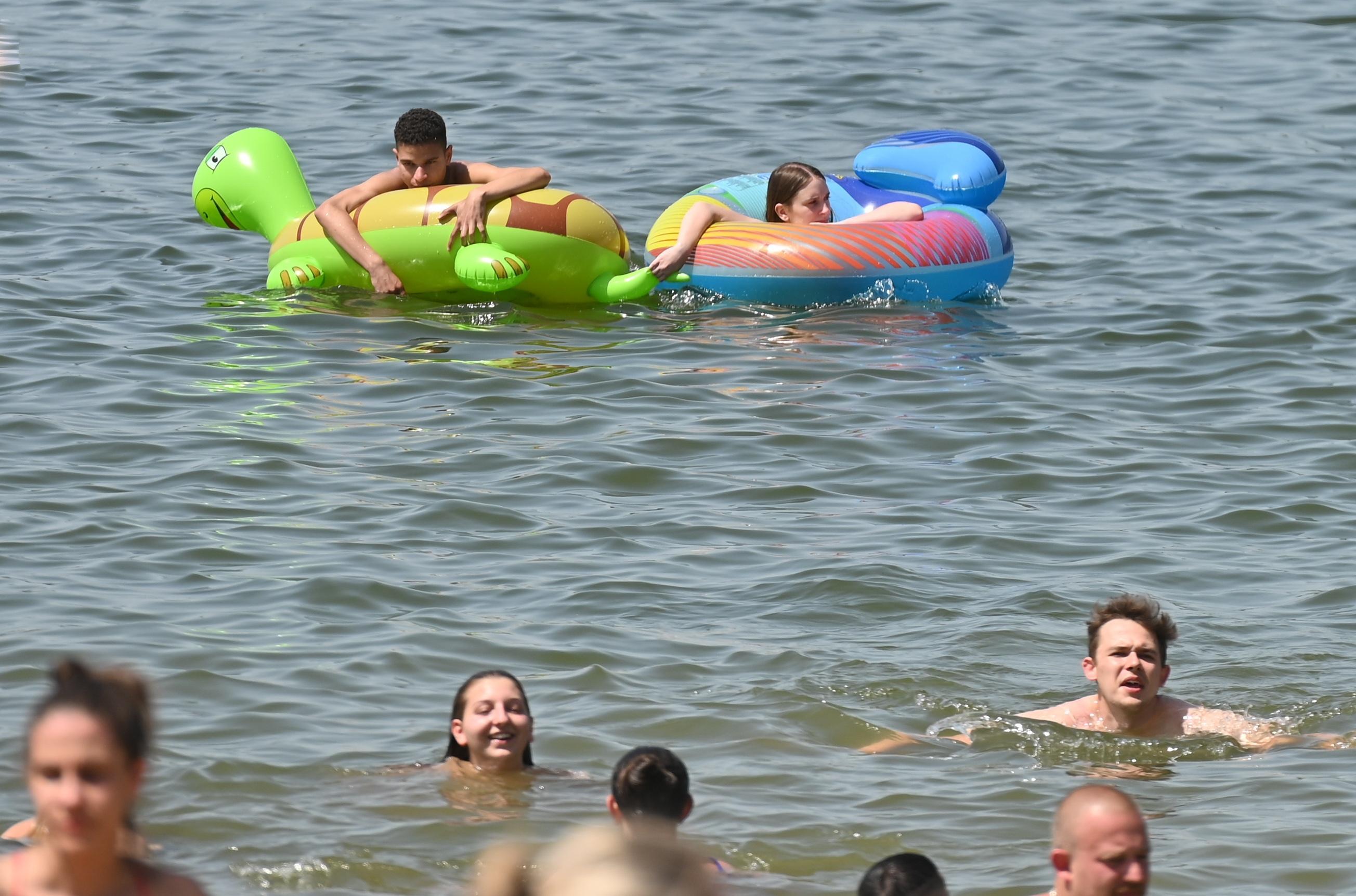 Wer sagt denn, dass Gummitiere nur für Kinder sind?