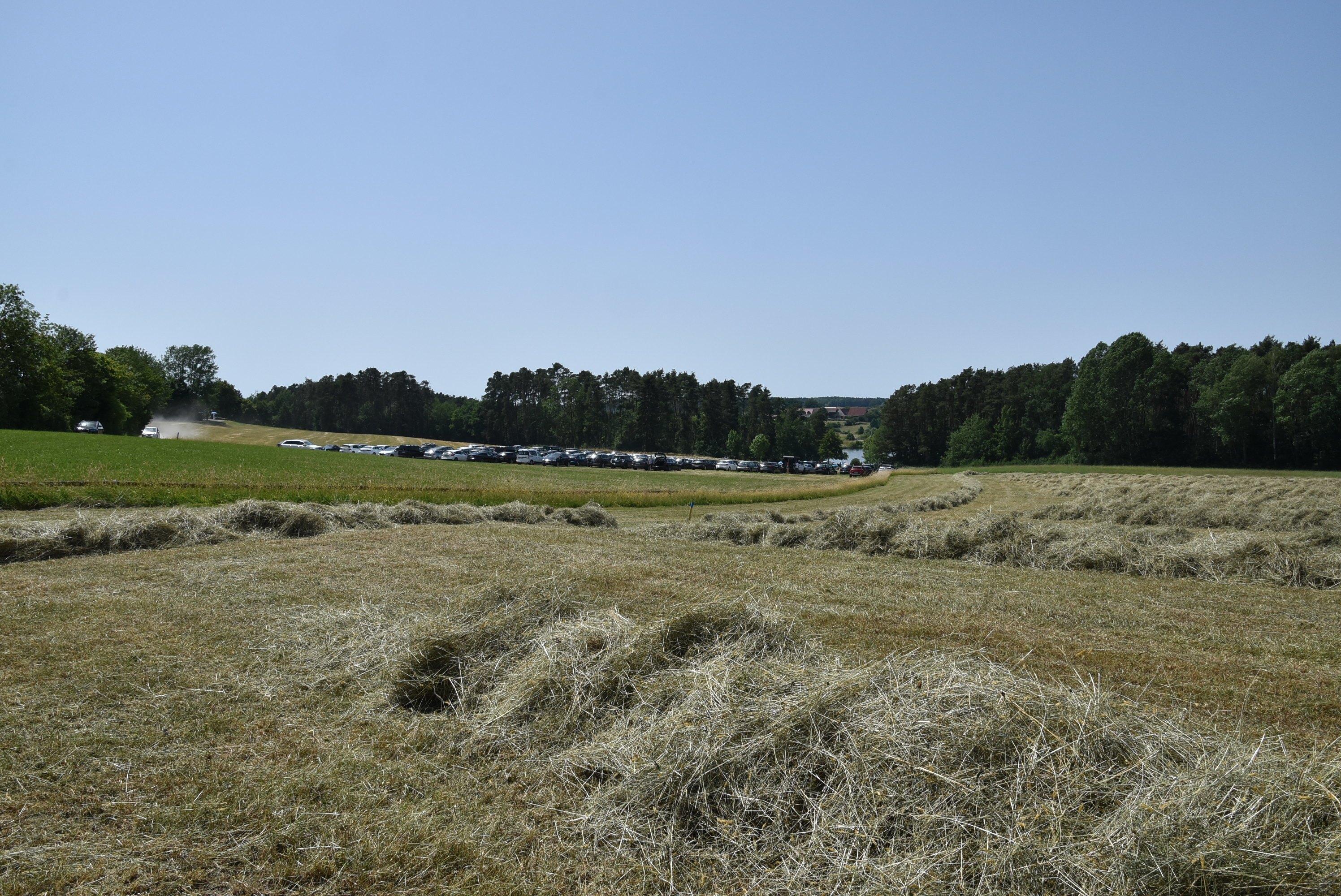 Auf Wiesen parken - nicht ganz ungefährlich bei dieser Trockenheit.