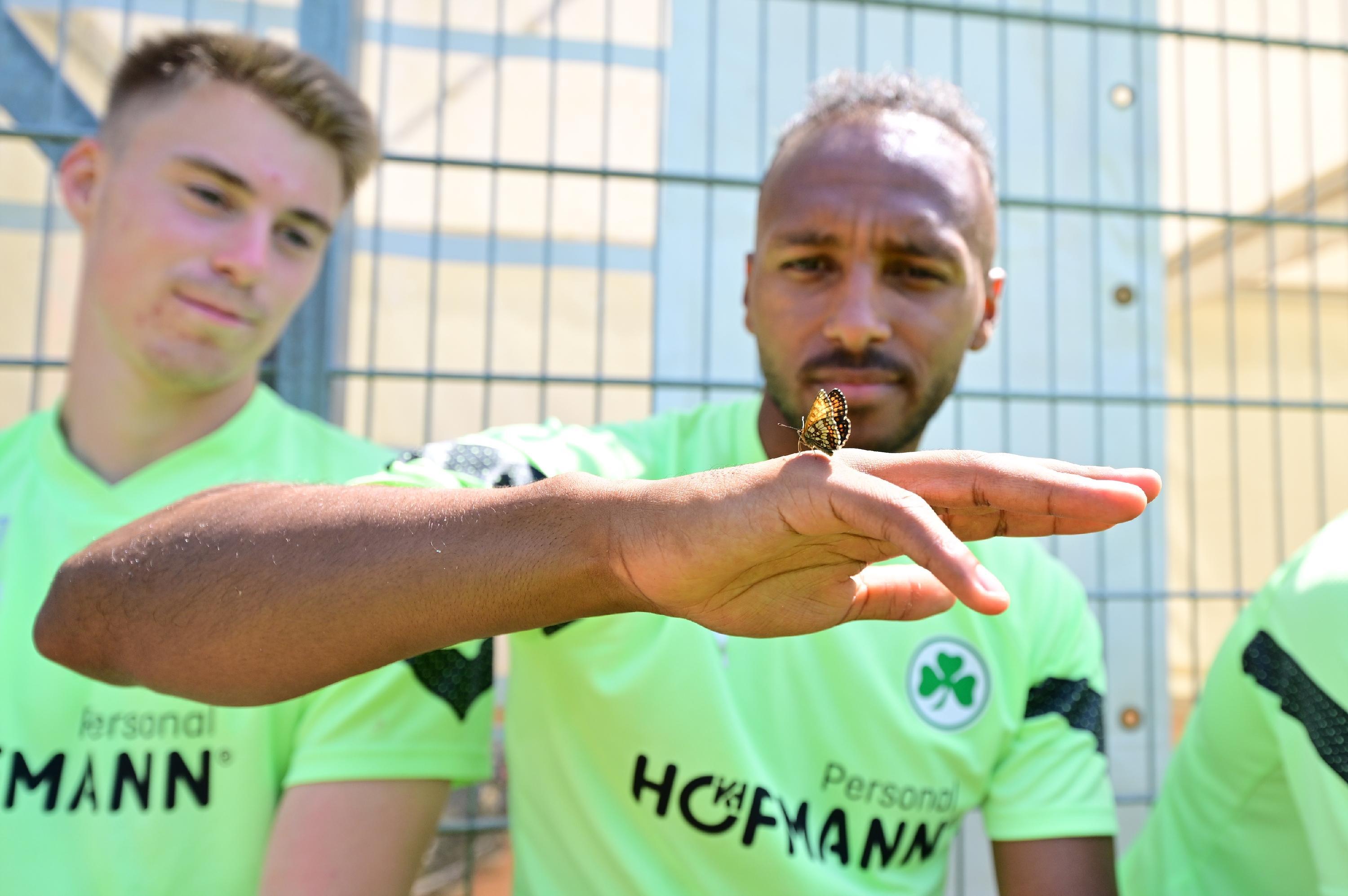 So ein Schmetterling kann sehr faszinierend sein,...