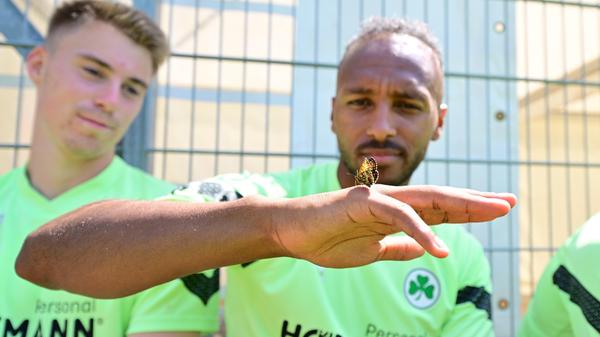 So ein Schmetterling kann sehr faszinierend sein,...