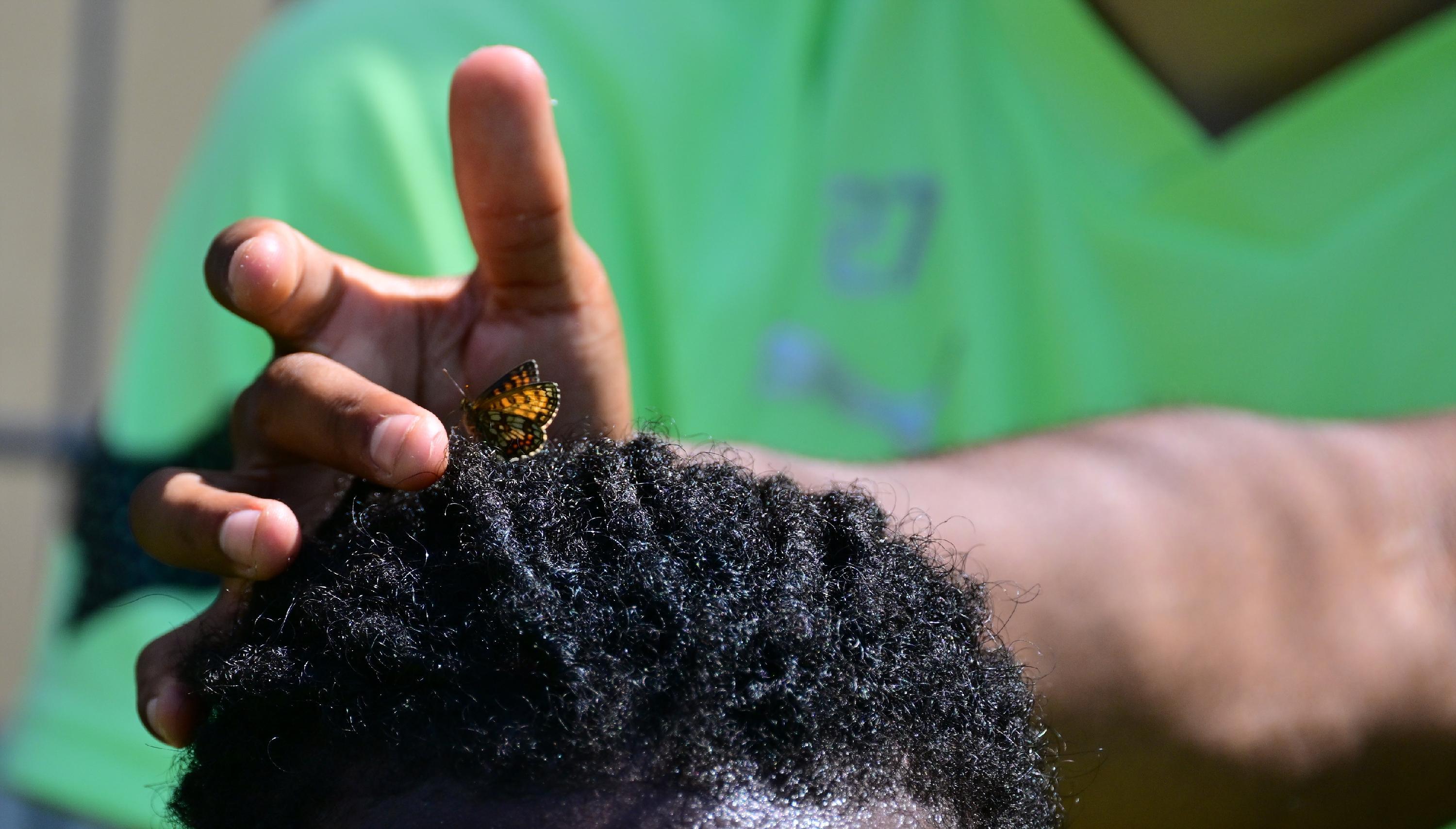 Das wenig scheue Tierchen nahm auch mal kurz auf dem Kopf von Gideon Jung Platz.