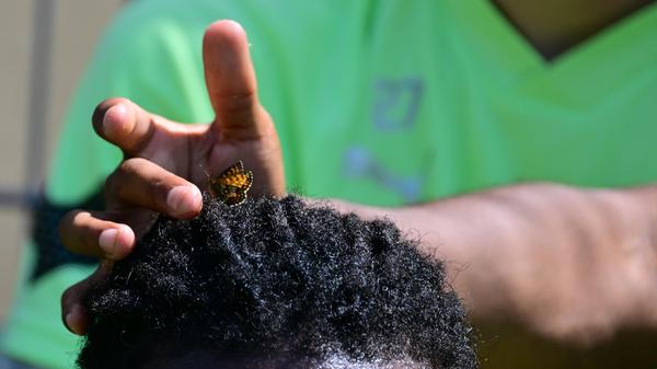 Das wenig scheue Tierchen nahm auch mal kurz auf dem Kopf von Gideon Jung Platz.