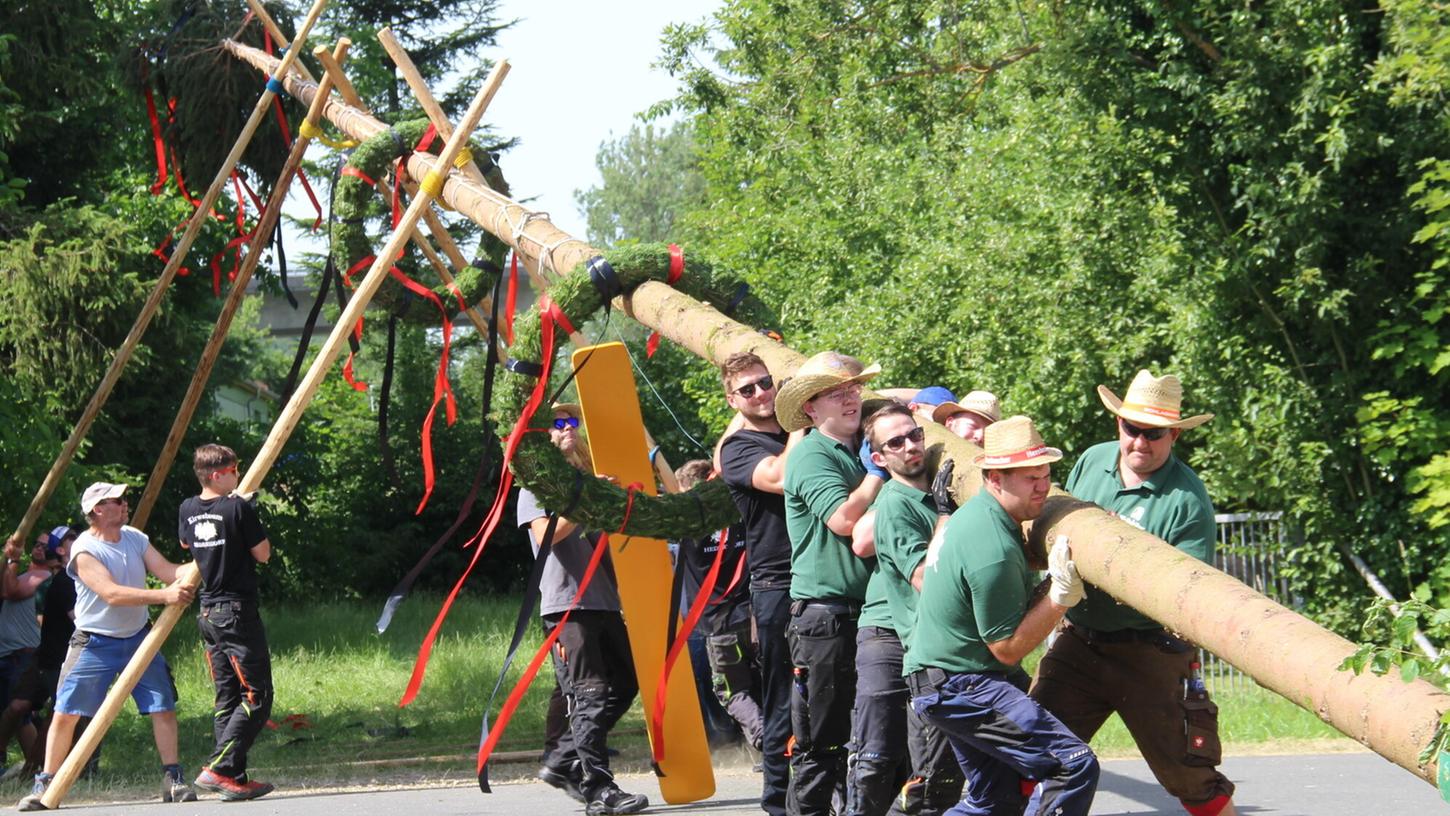 Ihre 25 Meter hohe Fichte stellten die Hedersdorfer „Boum“ am Samstagnachnmittag auf Ihre 25 Meter hohe Fichte stellten die Hedersdorfer „Boum“ am Samstagnachnmittag auf