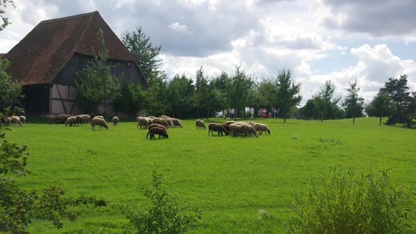 Das Freilandmuseum Bad Windsheim bietet nicht nur Idylle pur sondern auch einen Blick in das karge Leben früherer Generationen. Das 45 Hektar große Museumsgebäude zeigt über 100 Gebäude, die teils noch aus dem 14. Jahrhundert stammen und originalgetreu wiederaufgebaut wurden. 