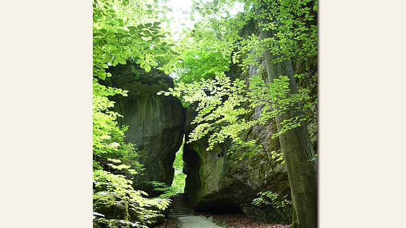 "Die Natur selbst war die Baumeisterin", schrieb Markgräfin Wilhelmine von Bayreuth an ihren Bruder, Friedrich den Großen, entzückt vom Felsengarten Sanspareil. Mehr Informationen zu diesem Ort im Franken-Wiki.