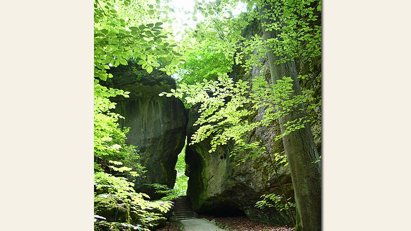 "Die Natur selbst war die Baumeisterin", schrieb Markgräfin Wilhelmine von Bayreuth an ihren Bruder, Friedrich den Großen, entzückt vom Felsengarten Sanspareil. Der 1744-1748 geschaffene englische Landschaftsgartten in der oberfränkischen Gemeinde Wonsees im Landkreis Kulmbach ist tatsächlich ein wahres Schmuckstück. 