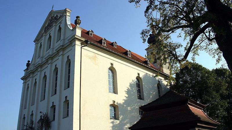 Die Wallfahrtskirche Mariä Heimsuchung bei Limbach ist eine, in das 15. Jahrhundert zurückgehende, Kult- und Wallfahrtsstätte. Das imposante Gotteshaus erhebt sich zwischen Wiesen und Feldern. Während sie von außen eher schlicht wirkt, glänzt sie im Innern mit verspielter Rokoko-Pracht. 