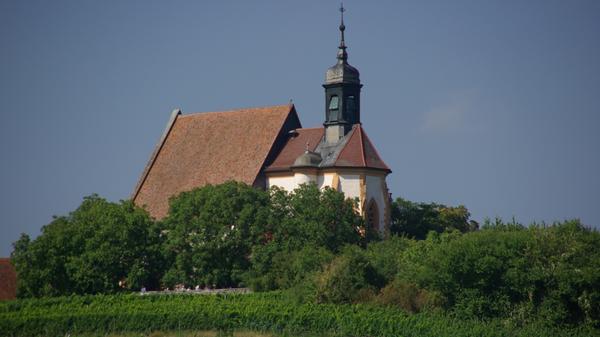 Die Wallfahrtskirche Maria im Weingarten liegt mitten im Herzen der Weinberge über dem fränkischen Ort Volkach an der Mainschleife. Im Inneren der spätgotischen Kirche befindet sich mit der "Madonna im Rosenkranz" (1524) ein bedeutendes Werk von Tilman Riemenschneider.