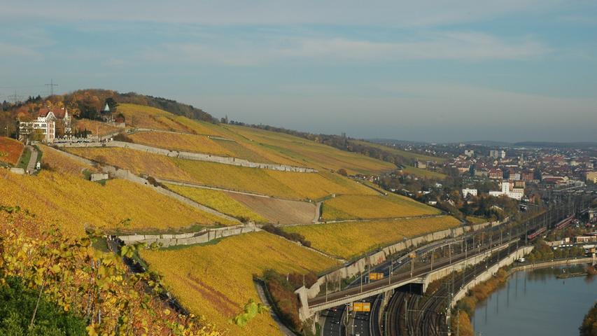 Der Würzburger Stein ist ein bekanntes Weinbaugebiet in Würzburg, in dem ein besonderer Tropfen heranreift. Es handelt sich um eine Steillage mit einer Hangneigung zwischen 30 und 80 Prozent. Sie erstreckt sich im Südhang des Steinbergs nördlich der Altstadt. Eine Besonderheit des Weinberges ist sein Boden: Es handelt sich um verwitterterten, mineralhaltigen Muschelkalk, in dem stellenweise Lehm- und Tonschichten eingelagert sind. Sie sollen dem Wein ein besonderes Aroma verleihen.