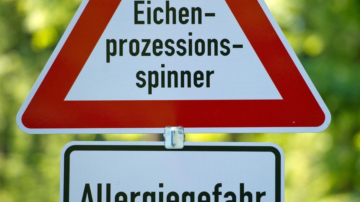 In manchen Wäldern weisen Schilder auf den sich jährlich wiederholenden Befall mit Eichenprozessionsspinnern hin. In manchen Wäldern weisen Schilder auf den sich jährlich wiederholenden Befall mit Eichenprozessionsspinnern hin.