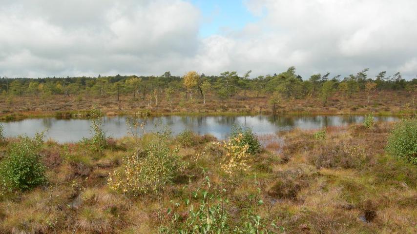 Das Schwarze Moor in der Rhön gehört zu den bedeutendsten Hochmooren Mitteleuropas. Es ist Bestandteil des europaweiten Schutzgebietsnetzes NATURA 2000 und gehört zum UNESCO-Biosphärenreservat Rhön. Hier sind eine Vielzahl an seltenen Tier- und Pflanzenarten beheimatet. Um möglichst vielen Besuchern diesen gefährdeten Lebensraum nahe zu bringen, ohne ihn zu stören, wurde ein Bohlensteg errichtet. Von ihm aus kann man das einzigartige Ökosystem erleben. 23 Informationstafeln vermitteln Wissenswertes über das Schwarze Moor.