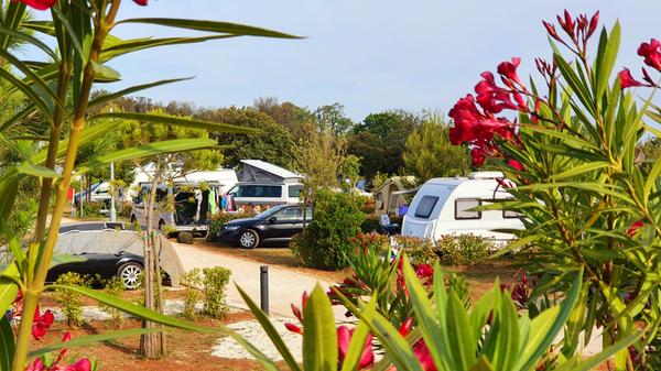 Blick auf die Stellplätze des Istra Premium Campingplatzes.