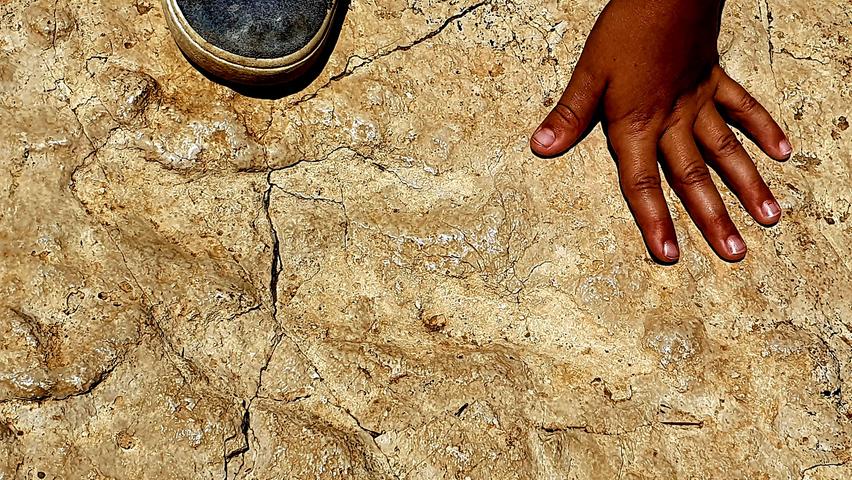 Hier haben vor 95 Millionen Jahren Dinosaurier ihre Fußspuren hinterlassen.