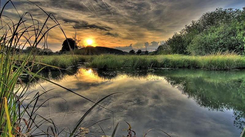 Nach zwei Jahren coronabedingter Pause lädt der Bund Naturschutz heuer wieder in das Deusmaurer Moor ein. Beim „Moorfest“ werden auch geführte Wanderungen angeboten.  