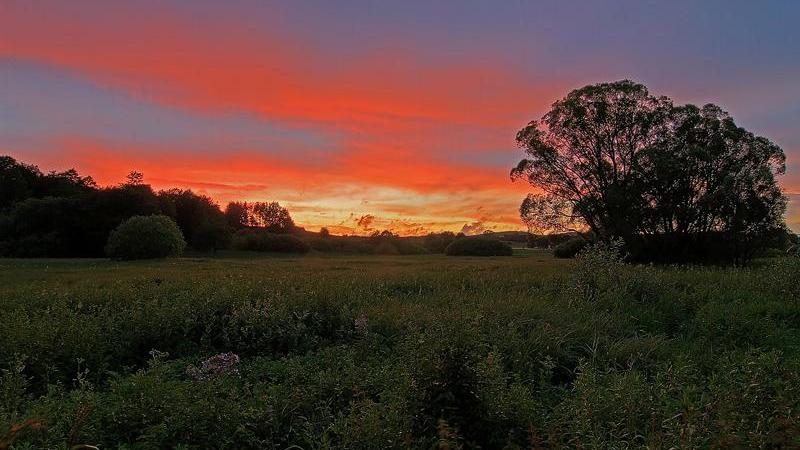 Abendstimmung im Kalkflachmoor.