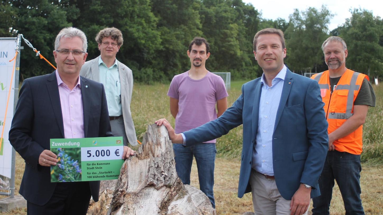 Bürgermeister Kurt Krömer (von links), der Steiner Bauamtsleiter Wolfgang Schaffrien, der Blühpaktberater der Regierung Mittelfranken Wolfgang Endres, Landrat Matthias Dießl und der Leiter der Stadtgärtnerei Jörg Jaroszewski auf dem Grundstück des zukünftigen Totholzgartens.
Bürgermeister Kurt Krömer (von links), der Steiner Bauamtsleiter Wolfgang Schaffrien, der Blühpaktberater der Regierung Mittelfranken Wolfgang Endres, Landrat Matthias Dießl und der Leiter der Stadtgärtnerei Jörg Jaroszewski auf dem Grundstück des zukünftigen Totholzgartens.