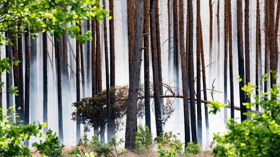Hohe Waldbrandgefahr in der Region: Was Sie beachten sollten