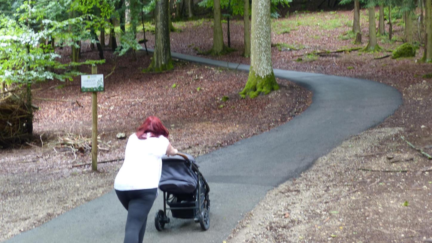 Viele Wege im Wildpark Hundshaupten sind so steil, dass das Schieben eines Kinderwagens sehr anstrengend ist. Für Menschen mit einer Bewegungseinschränkung sind sie kaum passierbar. Deshalb wurde ein Plan entwickelt, Teilstrecken zumindest barrierefreier zu machen.
Viele Wege im Wildpark Hundshaupten sind so steil, dass das Schieben eines Kinderwagens sehr anstrengend ist. Für Menschen mit einer Bewegungseinschränkung sind sie kaum passierbar. Deshalb wurde ein Plan entwickelt, Teilstrecken zumindest barrierefreier zu machen.