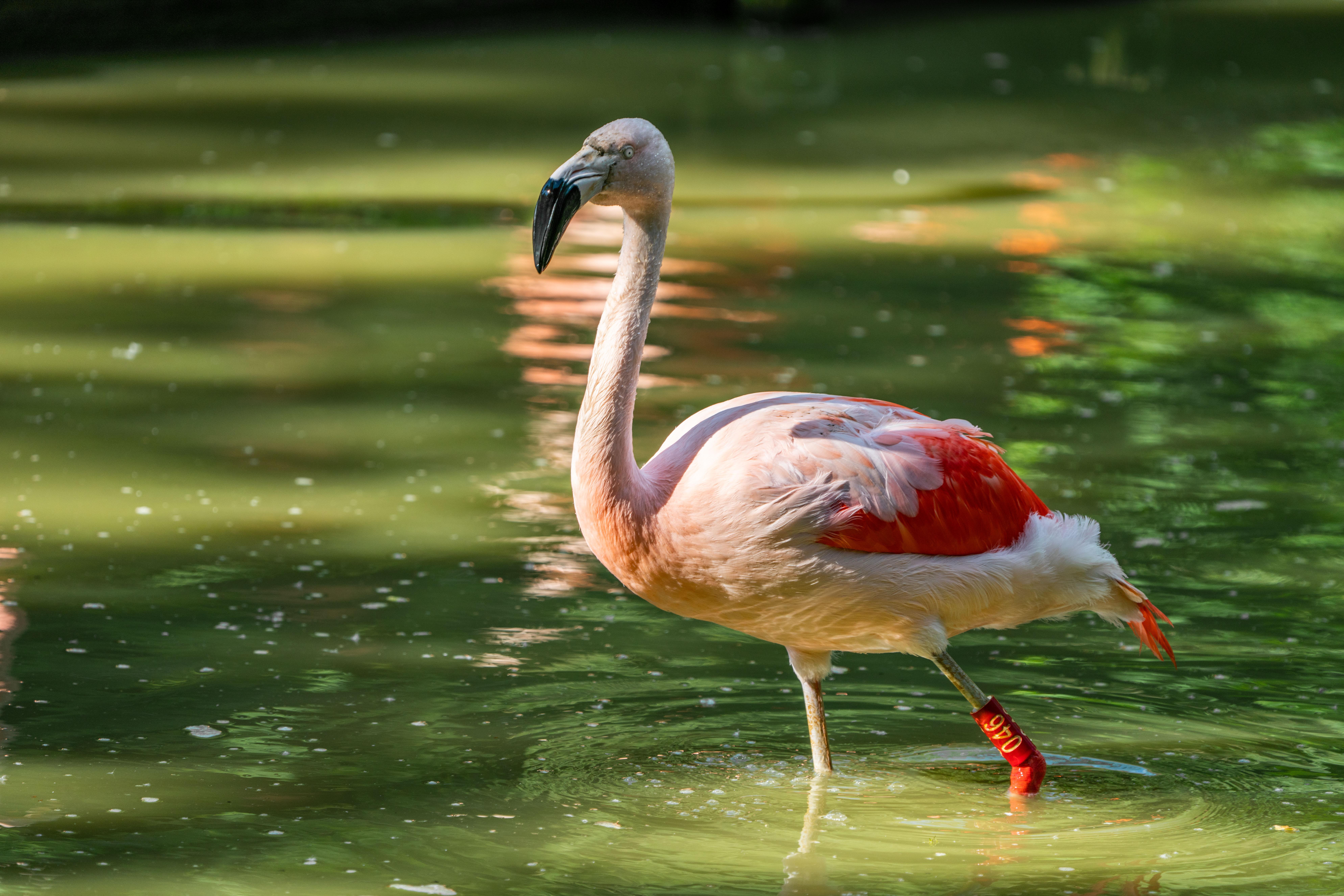 20220525 Tiergartenbesuch